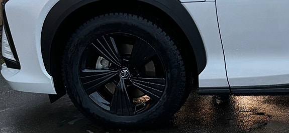 Lexus RZ450e 17 of 17