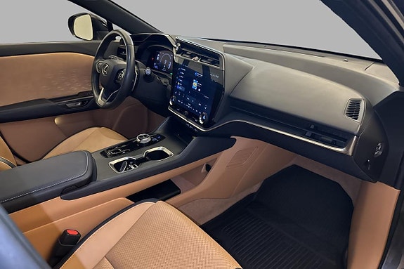 Lexus RZ450e 14 of 20