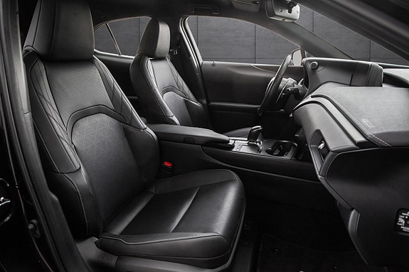 Lexus UX300e 16 of 20