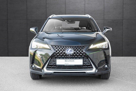 Lexus UX300e 6 of 20