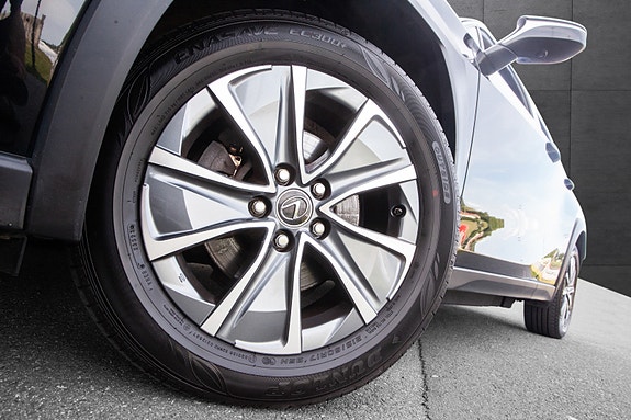 Lexus UX300e 18 of 20