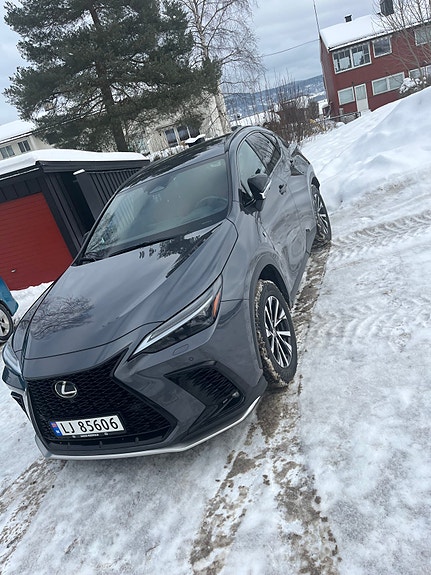 Lexus NX450h 14 of 14