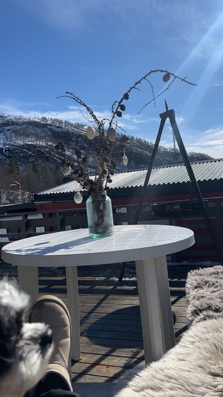 Knaus Royale 680 - Kjøp campingvogn og få spiker-telt i Eikedalen med på kjøpet!!! 7 of 28
