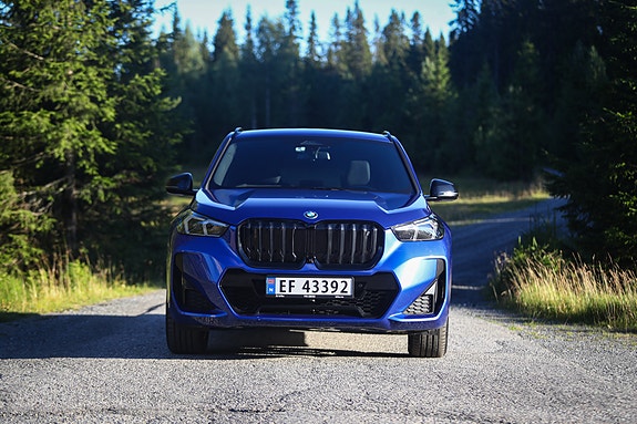 BMW iX1 11 of 30