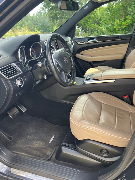 Mercedes-Benz ML250 20 of 21