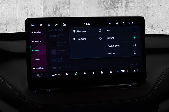 Skoda Enyaq RS 19 of 30