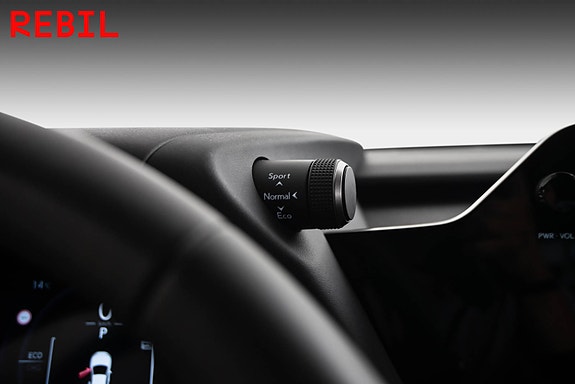 Lexus UX300e 18 of 24