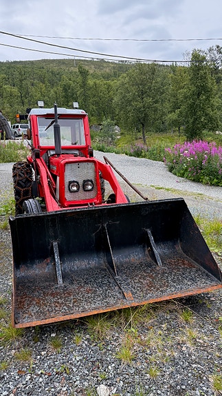 CASE IH 444 2 of 3