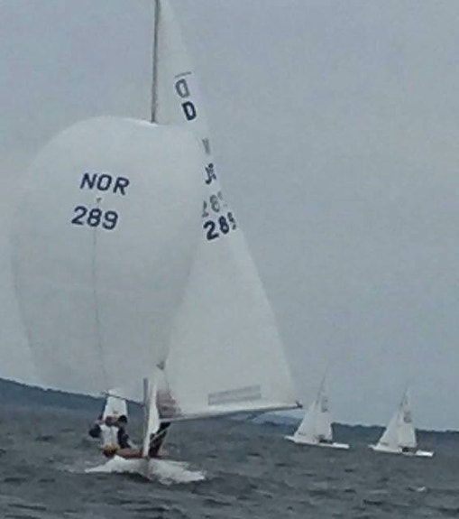 Drake - regatta eller solskinnsbåt! 4 of 14