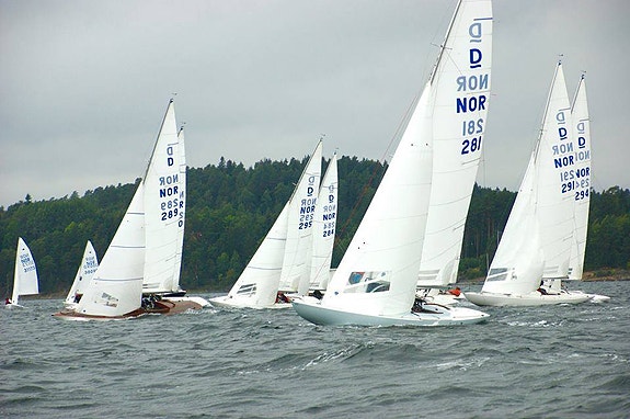 Drake - regatta eller solskinnsbåt! 2 of 14