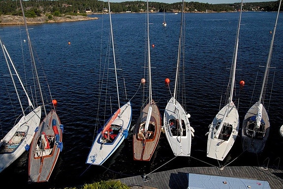 Drake - regatta eller solskinnsbåt! 11 of 14