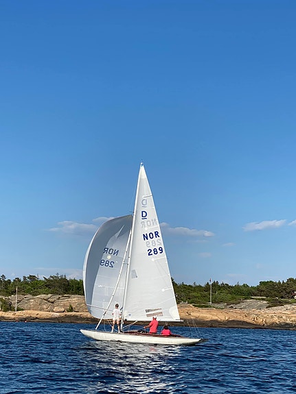 Drake - regatta eller solskinnsbåt! 13 of 14