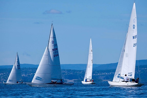 Drake - regatta eller solskinnsbåt! 7 of 14