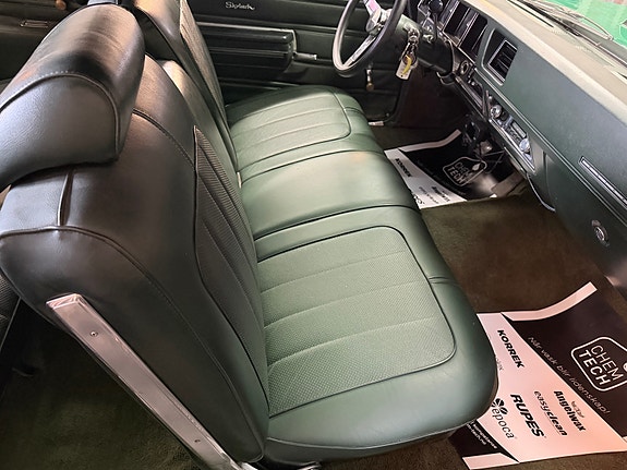 Buick Skylark 30 of 30