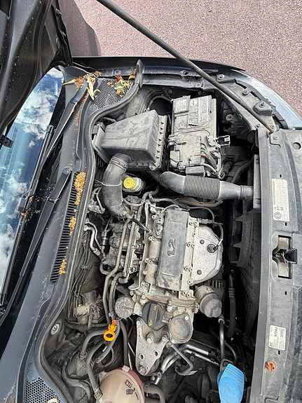 Volkswagen Polo 3 of 18