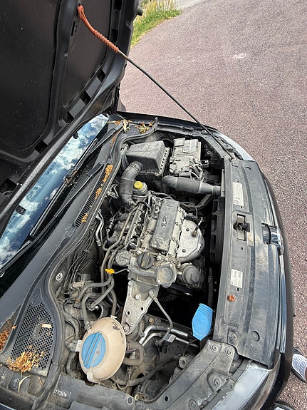 Volkswagen Polo 16 of 18