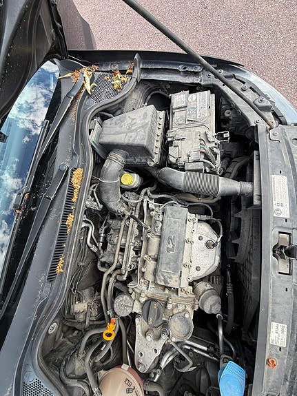 Volkswagen Polo 17 of 18