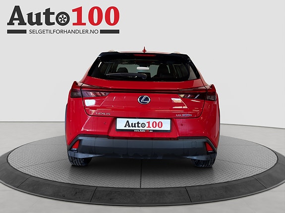 Lexus UX300e 5 of 20