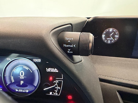 Lexus UX300e 15 of 20