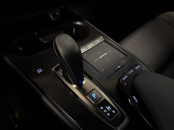 Lexus UX300e 18 of 20