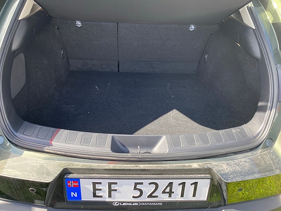 Lexus UX300e 5 of 17