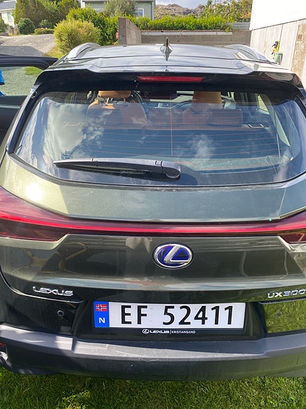 Lexus UX300e 4 of 17