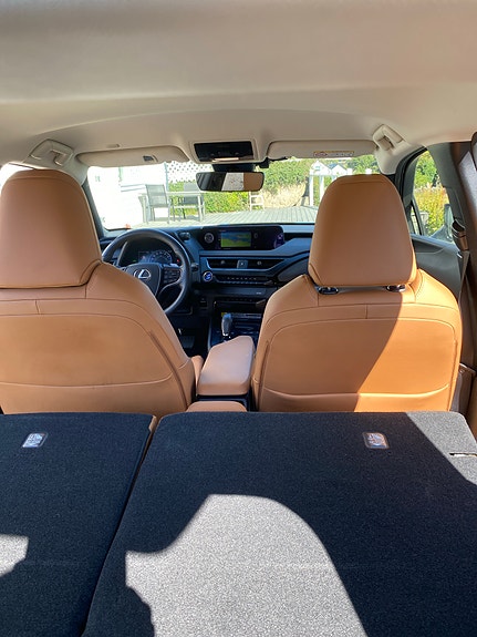 Lexus UX300e 12 of 17