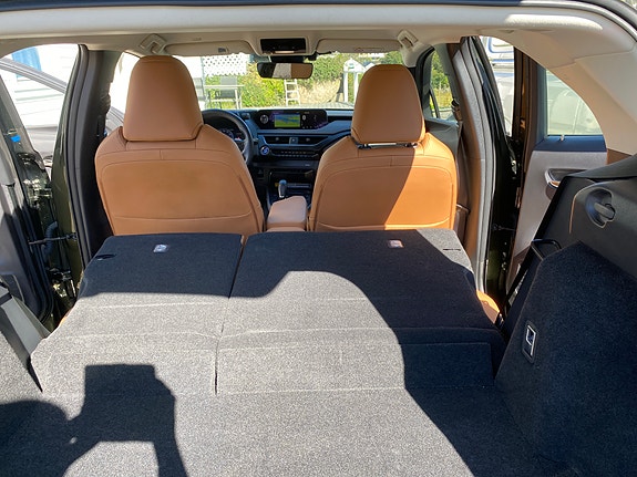 Lexus UX300e 11 of 17
