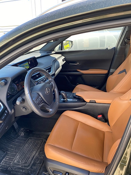 Lexus UX300e 15 of 17