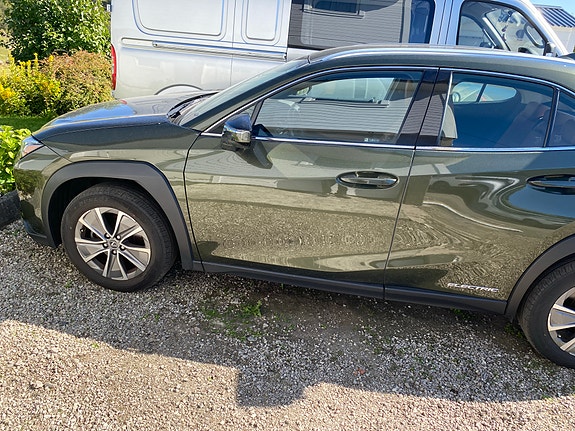 Lexus UX300e 16 of 17