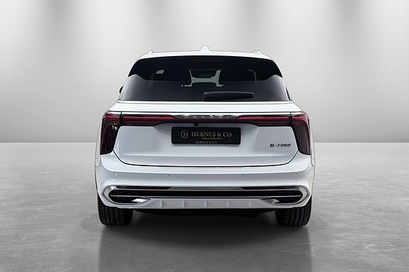Hongqi E-HS9 7 of 30
