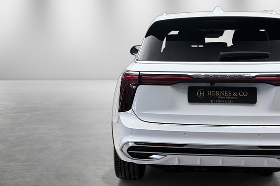 Hongqi E-HS9 8 of 30