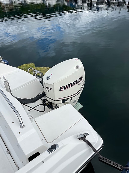 Nordkapp Avant 620, Evinrude e-tec 150 6 of 8