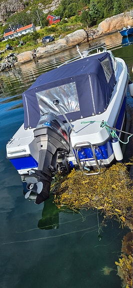 Flipper 575 HT 4 of 5
