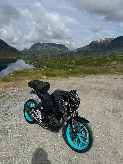 Yamaha MT-125 10 of 10