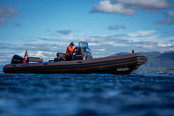 BRIG Navigator 26H Racing -  "Hankø Edition R" VISES PÅ BÅTER I SJØEN 27-30/8-26 26 of 30