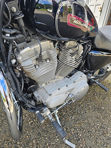 Harley-Davidson XLC SPORTSTER 883 CUSTOM A2 11 of 17