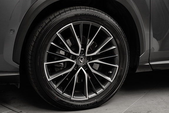 Lexus NX450h 11 of 30