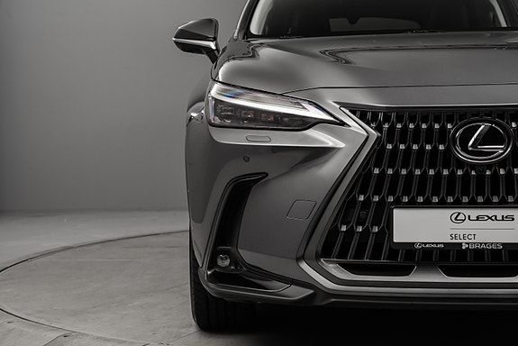 Lexus NX450h 9 of 30