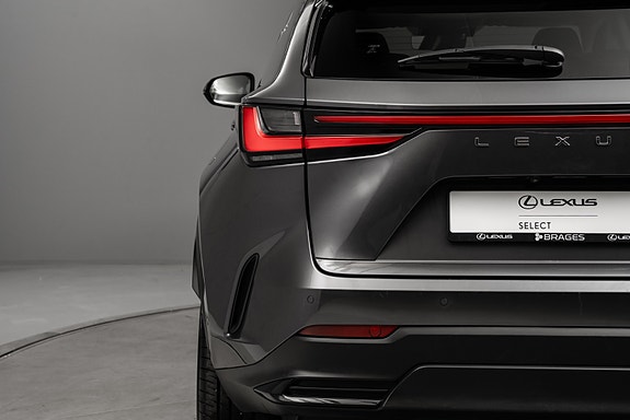 Lexus NX450h 7 of 30