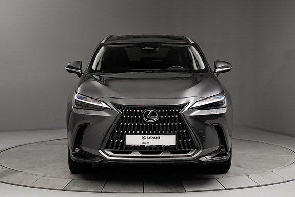 Lexus NX450h 6 of 30