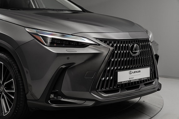 Lexus NX450h 10 of 30