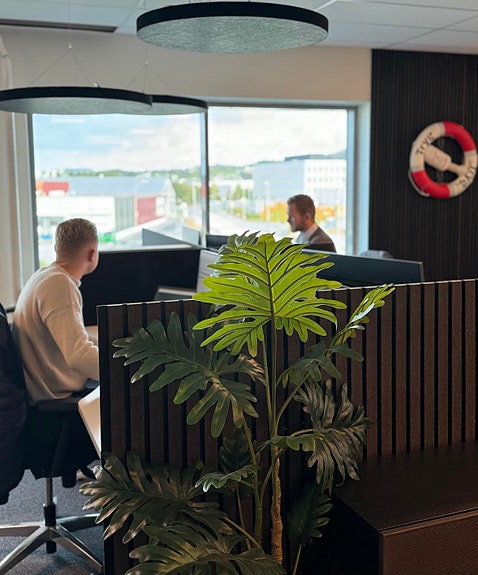 Bilde 2 av 2 i jobbannonse-galleriet