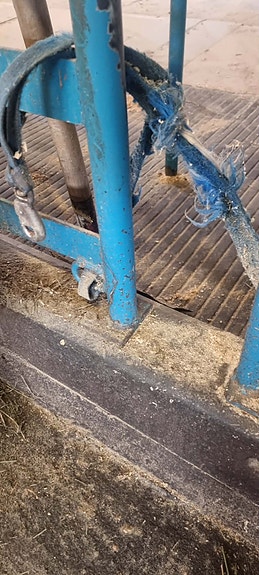 DeLaval innredning og melkeanlegg 2 of 3