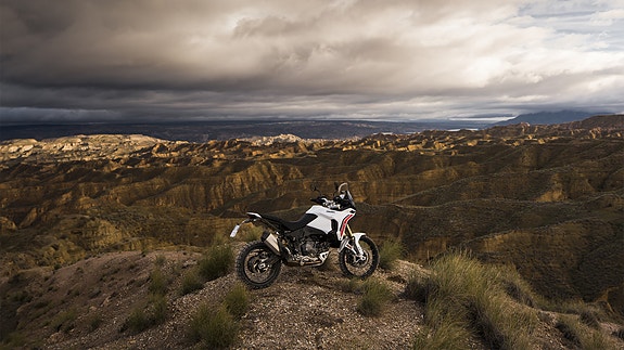 Ducati DesertX 9 of 9