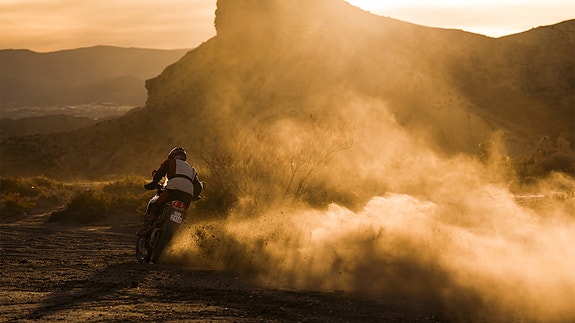 Ducati DesertX 6 of 9