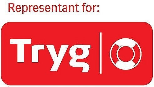Din tidligere erfaring logo