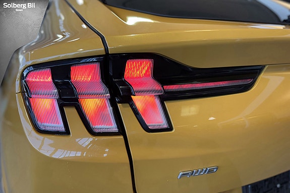 Ford Mustang Mach-E 12 of 30