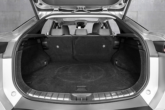 Lexus RZ450e 27 of 27