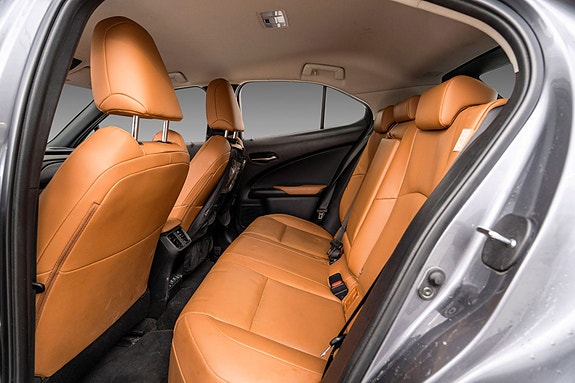 Lexus UX300e 20 of 24